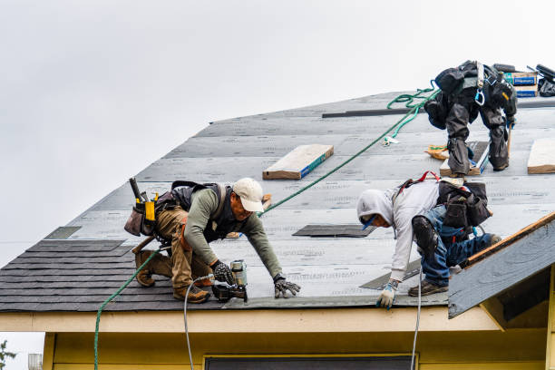 Professional Gutter Installation technician working in Bruceton, TN